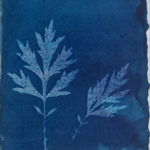 Greeting card with dark blue square handmade paper, 2 pale pink and blue flecked mugwort leaves. This is layered over feather-edged mulberry paper on left half.