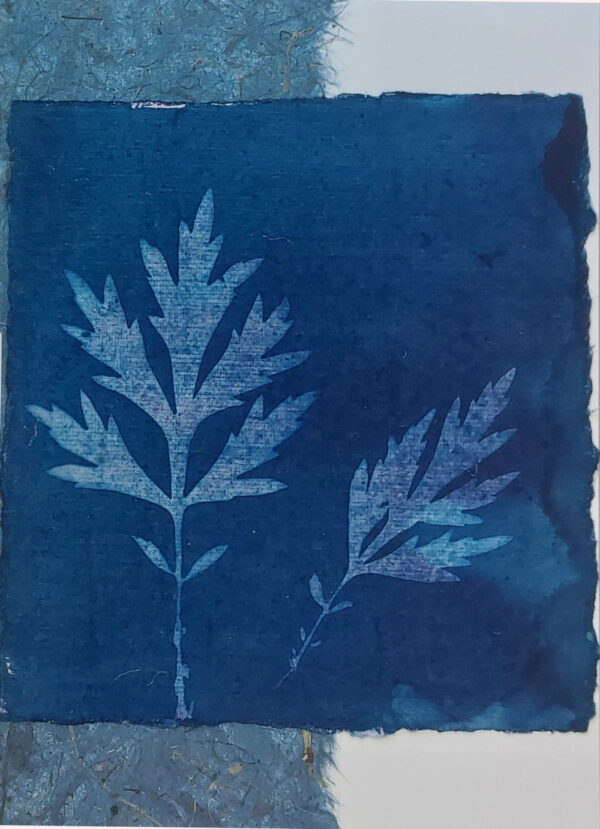 Greeting card with dark blue square handmade paper, 2 pale pink and blue flecked mugwort leaves. This is layered over feather-edged mulberry paper on left half.