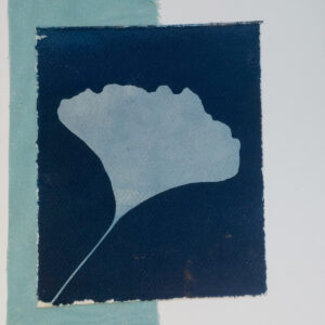 Ginkgo leaf in very pale blue on dark blue, over light teal kimono silk placed vertically on left, all on white card.