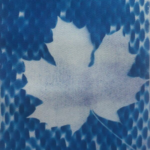 Maple leaf in white, mottled with light purple and pale blue, against blue and white "textured" background.