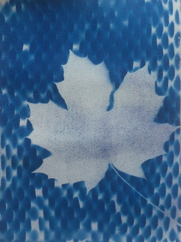 Maple leaf in white, mottled with light purple and pale blue, against blue and white "textured" background.