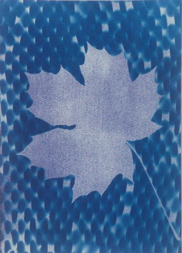 Maple leaf in mottled light purple, against blue and white background.