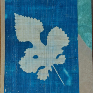 mulberry leaf on papyrus, cyanotyped with dark blue background, overcrinkled brown paper and green mulberry paper, diagonally across card