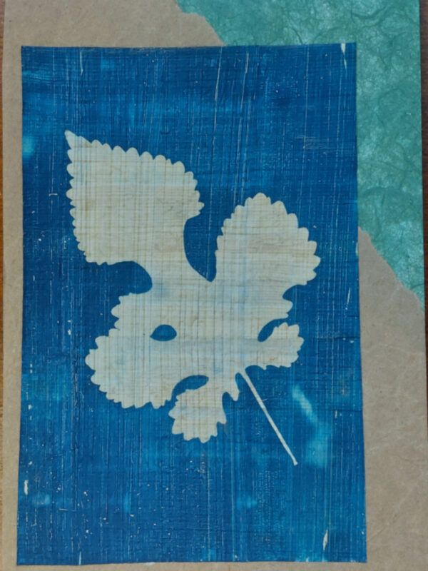 mulberry leaf on papyrus, cyanotyped with dark blue background, overcrinkled brown paper and green mulberry paper, diagonally across card