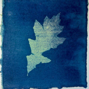 Small oak leaf in flecked yellow, tilted to right, hints of purple on top edge of leaf, against dark blue background, deckle edged square paper on white card