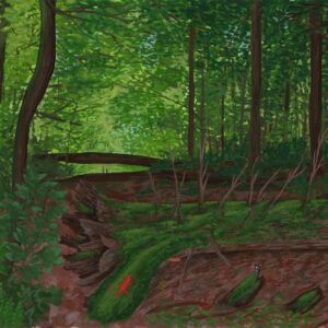 Dense green forest with a felled mossy tree. A slamander, mushroom, and butterfly are prominent in the foreground of the scene.