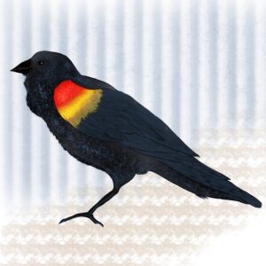 Screaming spring / Crier le printemps